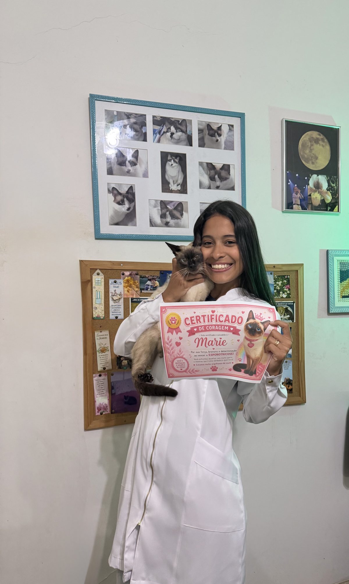 Médica Veterinária Amanda Oliveira, CRMV-RJ 23728, atendimento veterinário domiciliar no Rio de Janeiro